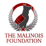 The Malinois Foundation - Dog Training Elite Dallas—Fort Worth