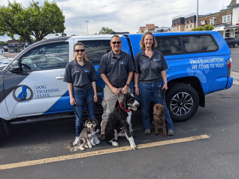 Is YOUR City the Perfect Market for a Dog Training Elite? Here&rsquo;s How to Tell