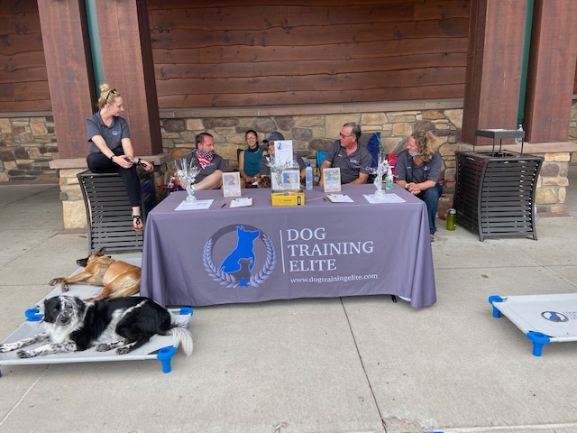 Investing in a Dog Training Elite dog business is essential.