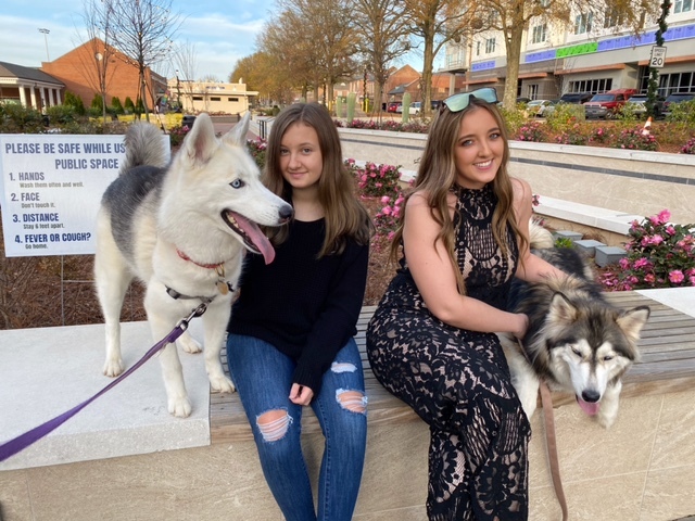 Our Dog Training Business Starts the Year off with a BANG!