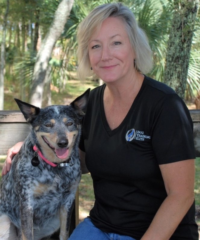 Dog Training Elite - Our Pet Franchise is Making Headlines!