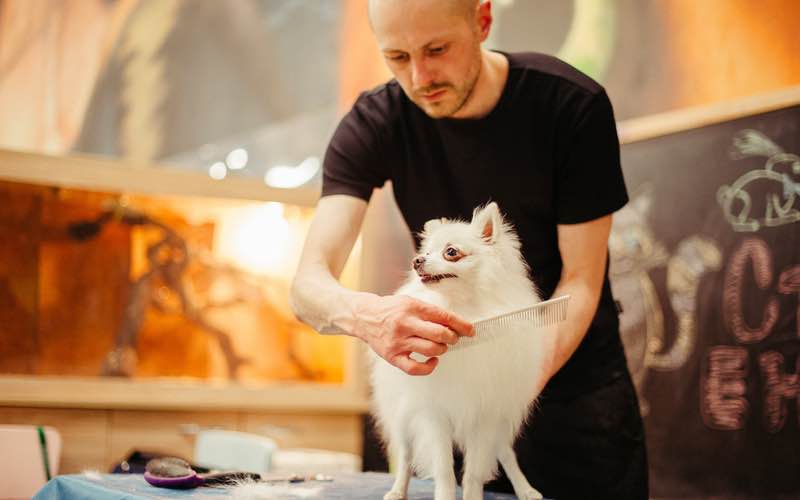 Red Flags to Watch out for When Finding a Franchise for Sale