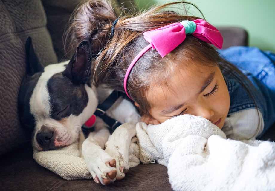 A Greater Feeling of Independence: Why Service Dogs are Beneficial to Owners and the Community