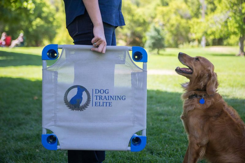 Dog Training Elite Dallas—Fort Worth offers expert electronic dog collar training programs near you in Dallas.
