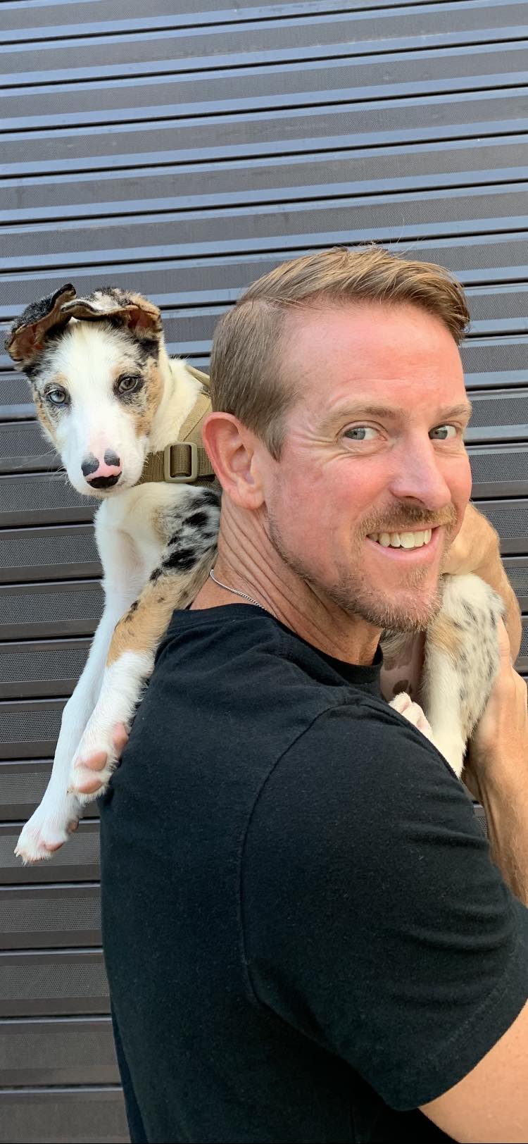 Matt Willis Brings Our Pet Training Franchise to St. Louis!