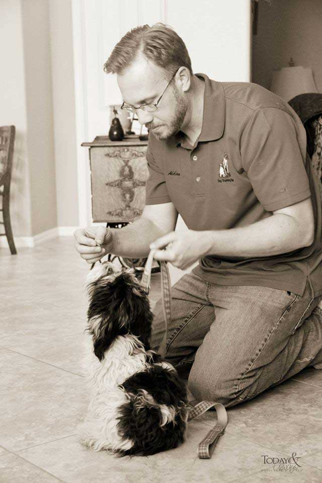 Why Choose In-Home Dog Trainers in Dallas