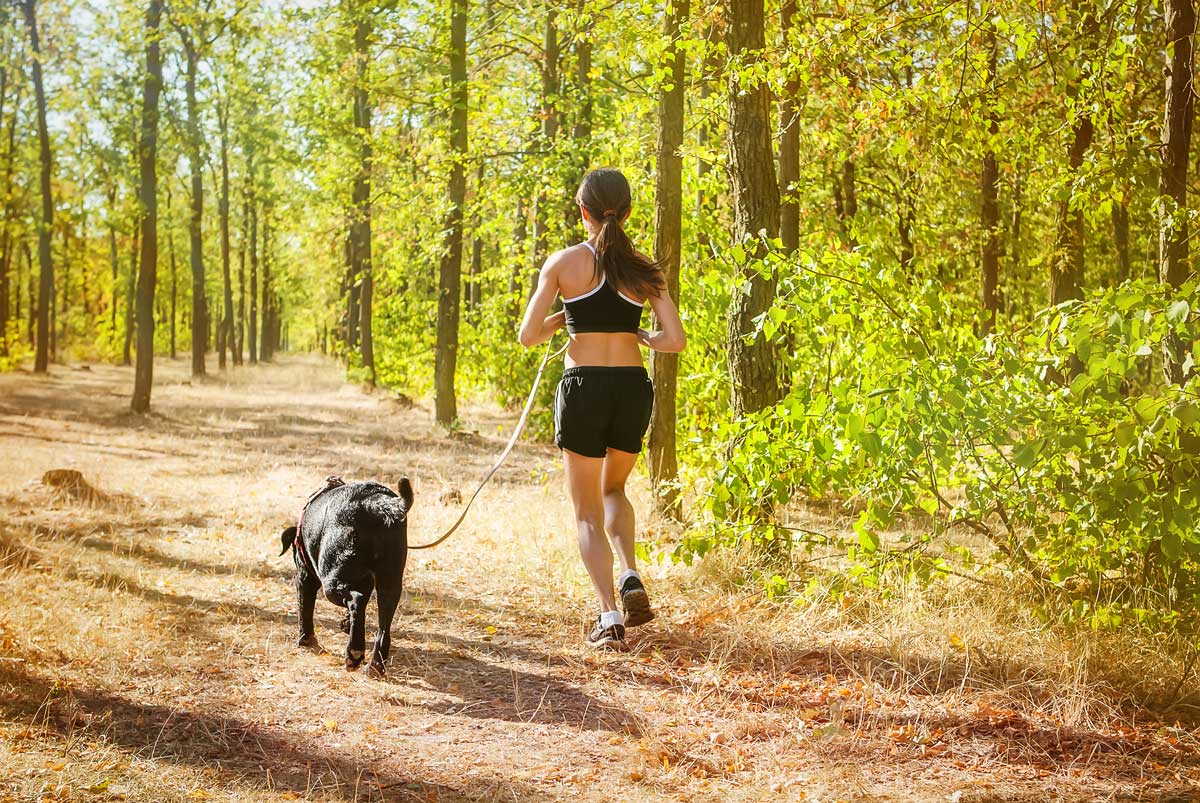 An owner and pup go for a safe, scenic run thanks to help from Dog Training Elite Dallas's training.