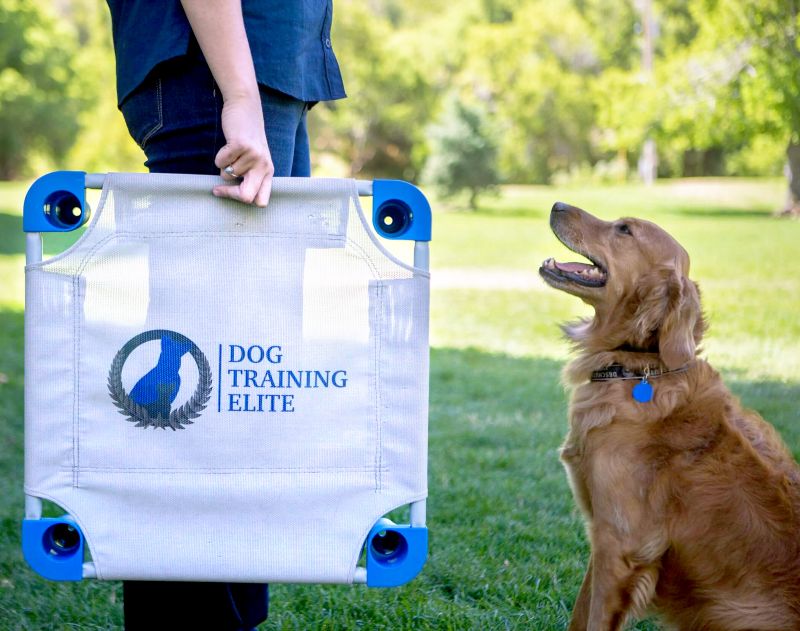 Dog Training Elite Dallas—Fort Worth se enorgullece de ofrecer los servicios de adiestramiento canino mejor calificados a un costo asequible cerca de tu hogar en Dallas.