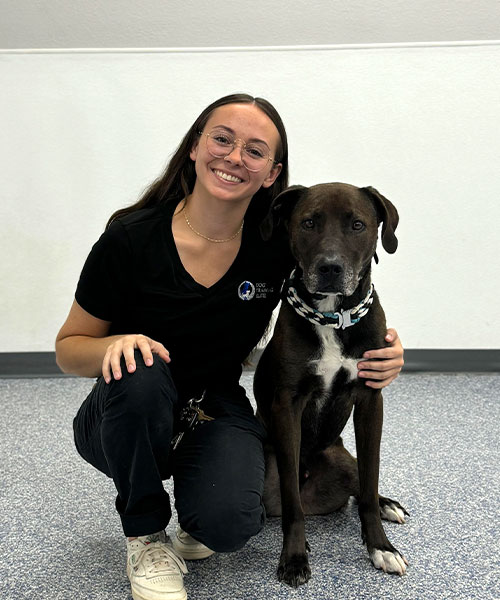 Alexa. Dog Trainer in Scottsdale