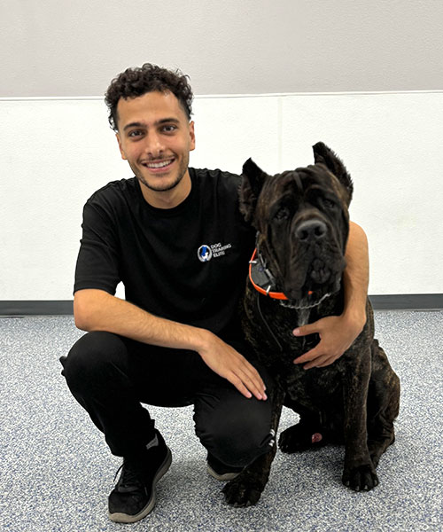 David. Dog Trainer in Scottsdale