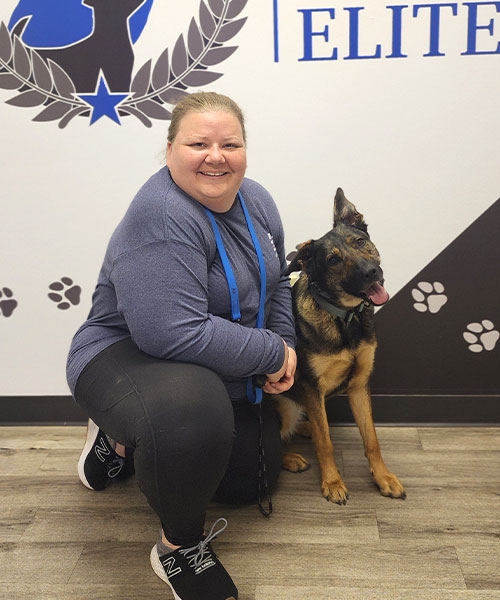 Casey Watkins. Dog Trainer in Greenville / Spartanburg