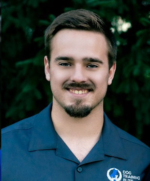 Alex VanWeelden. Dog Trainer in Cincinnati