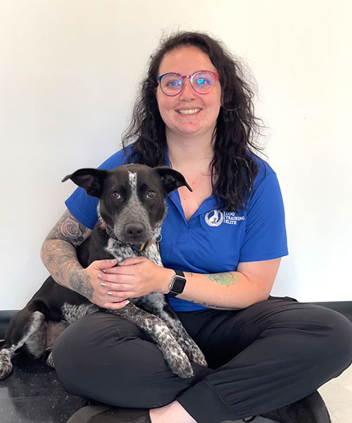 Brittany Wilson. Dog Trainer in Carmel / Fishers